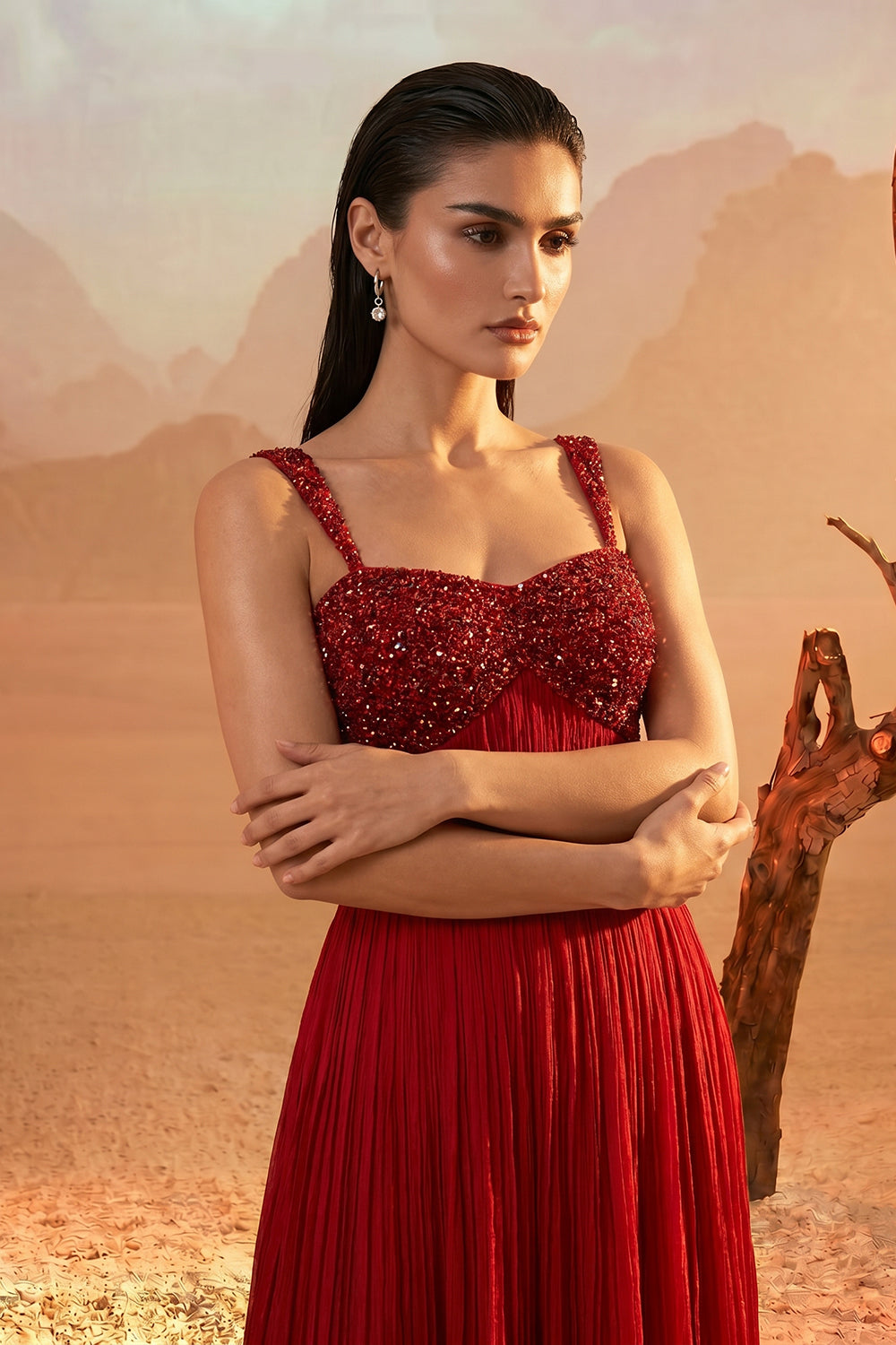 Red Embellished Pleated Gown