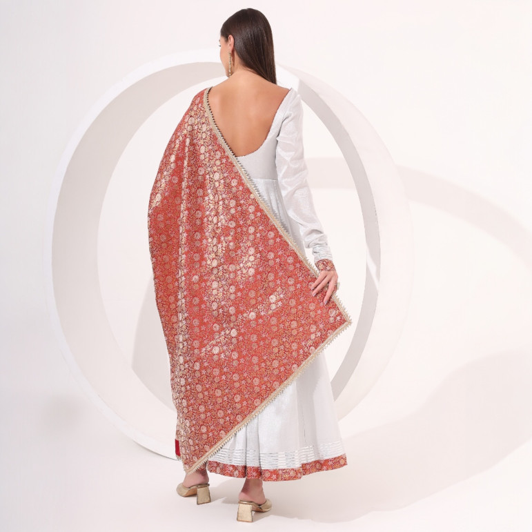 Silver Anarkali with Brocade Dupatta